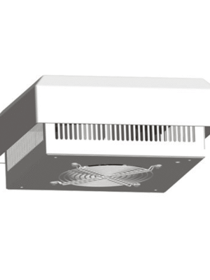 Plug Macho RJ45 Dixon CAT6 PB88502X 100 Unidades